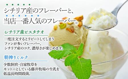 【数量限定】ジェラート 500ml×2種 食べ比べ  シチリア産 ピスタチオ 朝搾りミルク【大容量 アイス 業務用 セット 合計 1リットル スイーツ 人気 デザート 冷凍 氷菓子 家族 ファミリーサイズ】