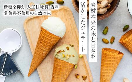 【数量限定】ジェラート 500ml×2種 食べ比べ  シチリア産 ピスタチオ 朝搾りミルク【大容量 アイス 業務用 セット 合計 1リットル スイーツ 人気 デザート 冷凍 氷菓子 家族 ファミリーサイズ】