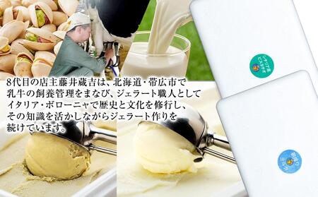 【数量限定】ジェラート 500ml×2種 食べ比べ  シチリア産 ピスタチオ 朝搾りミルク【大容量 アイス 業務用 セット 合計 1リットル スイーツ 人気 デザート 冷凍 氷菓子 家族 ファミリーサイズ】