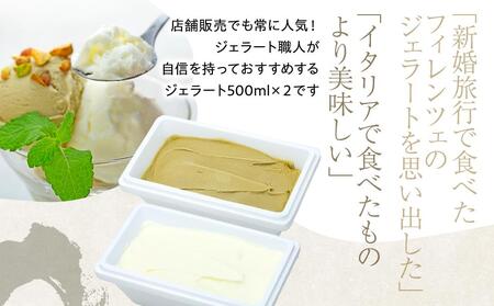 【数量限定】ジェラート 500ml×2種 食べ比べ  シチリア産 ピスタチオ 朝搾りミルク【大容量 アイス 業務用 セット 合計 1リットル スイーツ 人気 デザート 冷凍 氷菓子 家族 ファミリーサイズ】