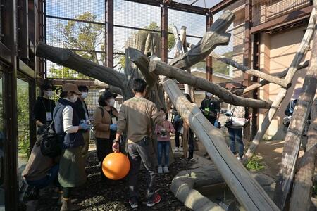 周南市徳山動物園サポーター会員入会券（1名様分）