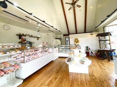 【先行予約】クリスマスケーキ・バニラ【卵・乳製品・小麦粉不使用】 5号（15cm）