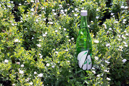 【定期便4回】はつもみぢ季節酒　1本(720ml)×4回