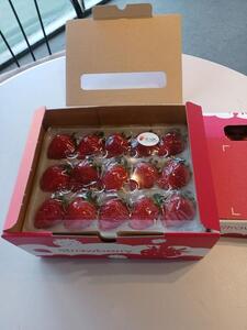 【先行予約12月下旬以降発送】極甘イチゴ よつぼし ２段箱(約800ｇ～900ｇ） 大粒完熟つみとり