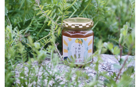 柑橘すだいだいセット2（シロップ2本＆マーマレードジャム1個）　大津島　無添加