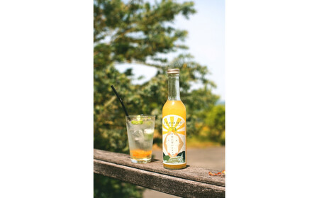 柑橘すだいだいセット3（シロップ2本＆マーマレードジャム2個）　大津島　無添加