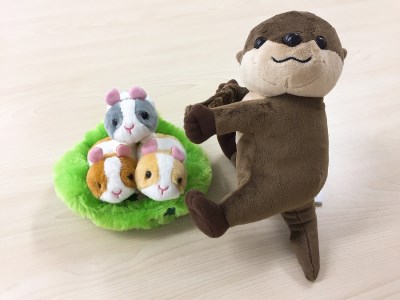 周南つれてくフレンズ&周南あつまるまるセットA