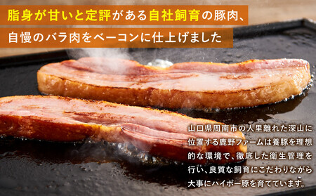 【鹿野ファーム】脂身の旨味際立つ厚切りベーコンステーキセット