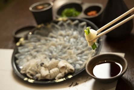 【着日指定可】国産とらふくフルコース九寸セット(約3人前)