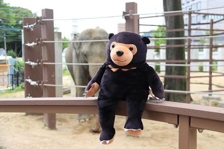 周南のほほんマレーグマ ぬいぐるみ くま 動物