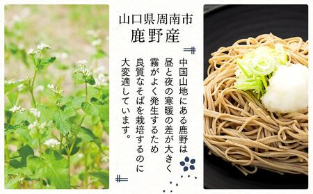 【年内発送】そば 乾麺 十割そば8人前 つゆ付き 周南市鹿野産 ( 200g × 4袋 )