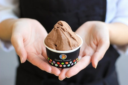 【人気セット】銀座〆じぇら（8個セット）最小最古の藤井牧場