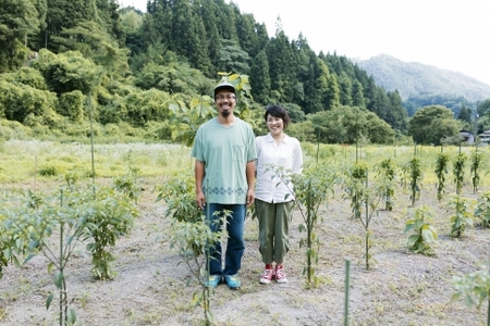 グルグルグリーンカレー 唐辛子農家のつくるクラフトカレーペースト（辛さノーマル）×3瓶セット