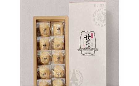 【熨斗付き/御祝】「復刻せめんだる」10個入り F6L-909