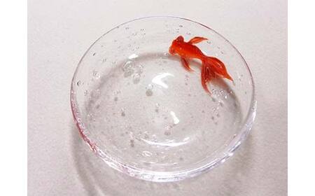 【ギフト用】金魚豆皿＜ガラス作家 松尾具美＞ F6L-1252