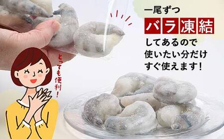 ブラックタイガーむきえび 1kg×3回定期便（3ヶ月連続） エビ 海老 むき身 海鮮 魚介類 無添加 バラ凍結 保水剤不使用 下処理済み F6L-1125