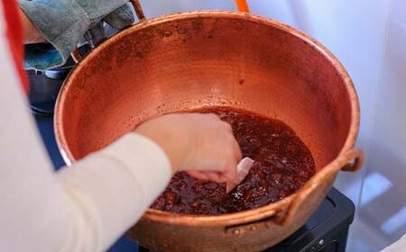 ぶどうジャム１瓶（赤ワイン仕立て） 100g ぶどう ジャム 加工品 食品 F6L-1144