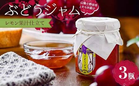 ぶどうジャム３瓶（レモン果汁仕立て３瓶）100g×3 ぶどう ジャム 加工品 食品 F6L-1148 12,480円