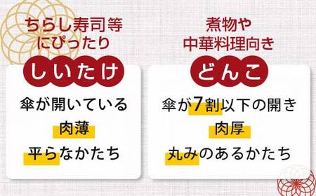 天然水仕込み生しいたけ 2種混合 約1kg 農家直送 生しいたけ 椎茸 どんこ 混合 ミックス ご当地 グルメ 食品 F6L-1072