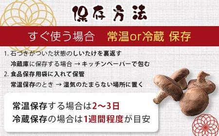 天然水仕込み生しいたけ 2種混合 約1kg 農家直送 生しいたけ 椎茸 どんこ 混合 ミックス ご当地 グルメ 食品 F6L-1072