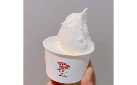 ＜業務用＞大人気！ヒノデジェラート みるく 1kg 業務用 ジェラート ミルク 牛乳 アイスクリーム デザート ご当地 グルメ 食品 F6L-669