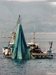 周防大島 イリコセット