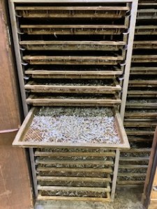 周防大島 イリコセット