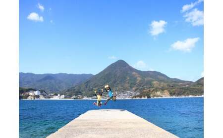 上妻みかん園 温州みかん(約3kg)※サイズ不揃い、傷・シワ・黒点あり