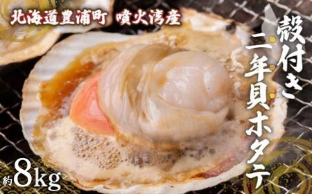 【先行予約】北海道 豊浦町 殻付き 2年貝 活ホタテ 約8kg（８０枚～１１２枚）（2026年1月から3月より順次発送） TYUP003
