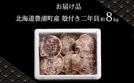 【先行予約】北海道 豊浦町 殻付き 2年貝 活ホタテ 約8kg（８０枚～１１２枚）（2026年1月から3月より順次発送） TYUP003