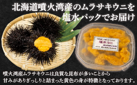 【令和7年度発送先行予約】うに 塩水 ムラサキウニ 80g 北海道 豊浦 噴火湾 雲丹【配送不可地域：離島】【配送不可地域：離島】 【ふるさと納税 人気 おすすめ ランキング 魚介類 うに ウニ 雲丹 むらさきうに ムラサキウニ おいしい 美味しい あまい 新鮮 北海道 豊浦町 送料無料】 TYUR020