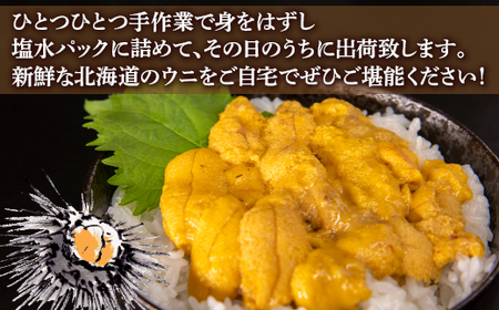【令和7年度発送先行予約】うに 塩水 ムラサキウニ 80g 北海道 豊浦 噴火湾 雲丹【配送不可地域：離島】【配送不可地域：離島】 【ふるさと納税 人気 おすすめ ランキング 魚介類 うに ウニ 雲丹 むらさきうに ムラサキウニ おいしい 美味しい あまい 新鮮 北海道 豊浦町 送料無料】 TYUR020