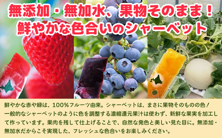 北海道 豊浦町 ブルーベリー いちご メロン シャーベット 5本×3種