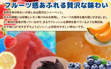 北海道 豊浦町 ブルーベリー いちご メロン シャーベット 5本×3種