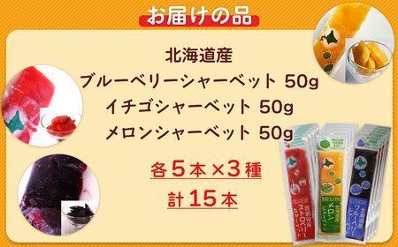 北海道 豊浦町 ブルーベリー いちご メロン シャーベット 5本×3種
