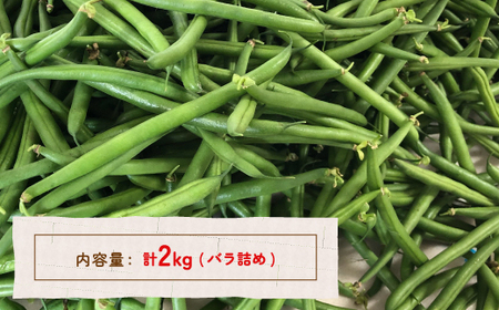 【2026.7月以降順次出荷】さやいんげん 2kg バラ詰め サイズ混合 北海道 豊浦町 TYUF002
