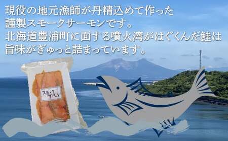 スモークサーモン 120g x 3パック 北海道 噴火湾産 【 ふるさと納税 人気 おすすめ ランキング 魚介類 魚 鮭 サーモン スモークサーモン さけ サケ セット パック おいしい 美味しい 新鮮 北海道 豊浦町 送料無料 】 TYUR024