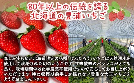 いちご 【2026年4月下旬以降出荷】豊浦いちご 大玉12粒×2トレー TYUAH001
