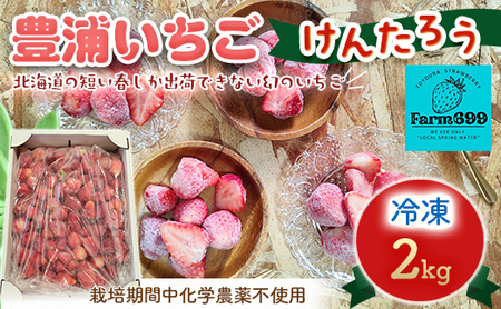いちご 【2026年4月下旬以降出荷】豊浦いちご  冷凍いちご 2kg TYUAH002