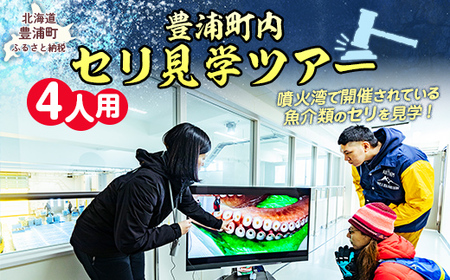 【豊浦町内】セリ見学ツアー（4人用）\t【 ふるさと納税 人気 おすすめ ランキング 体験 イベント 魚介 セリ 水揚げ 見学 4人 北海道 豊浦町 送料無料 】 TYUL024