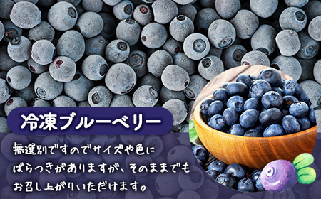 栽培期間中農薬不使用冷凍ブルーベリー　無選別品　1Kg 【 ふるさと納税 人気 おすすめ ランキング 果物 ブルーベリー 冷凍ブルーベリー 国産ブルーベリー 濃厚ブルーベリー 大容量 おいしい 美味しい あまい 新鮮 北海道 豊浦町 送料無料 】 TYUS025