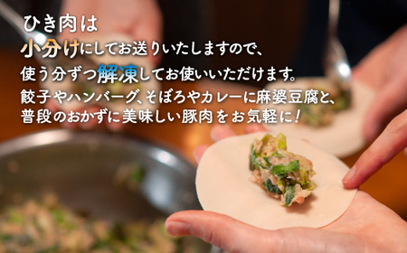 【3ヵ月 定期便 】 とようらポーク1.2kg ひき肉 小分け 北海道豊浦産 SPF豚 