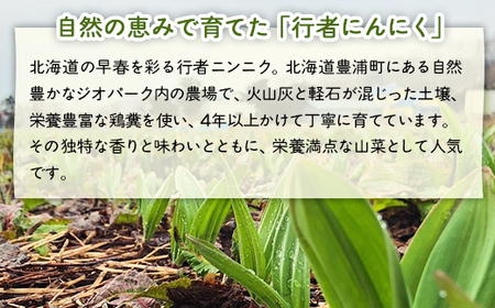 【2026年2月以降順次出荷】北海道豊浦産 行者にんにく 50g×8パック TYUF008