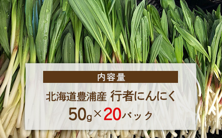 【2026年2月以降順次出荷】北海道豊浦産 行者にんにく 50g×20パック TYUF010 | にんにく