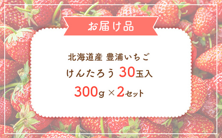 【2026年5月順次発送】北海道産 豊浦いちご けんたろう 30玉入り 300g×2セット TYUAG001