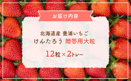 【2026.4月下旬以降順次出荷】贈答用いちご（大粒）　12粒2トレー TYUW006