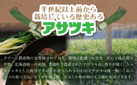 北海道産アサツキ 1kg TYUAH004