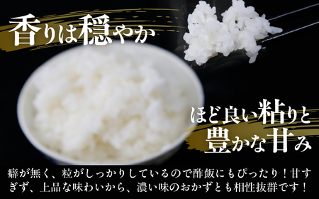 ■3ヵ月連続お届け　【定期便 3回】 北海道 豊浦 令和7年度産 精米 ゆめぴりか 5kg TYUQ009