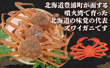 訳あり】 北海道 豊浦 噴火湾 ズワイガニ 約1.5~2kg(4~6尾 訳あり】 北海道 豊浦 噴火湾 ズワイガニ 約1.5~2kg(4~6尾