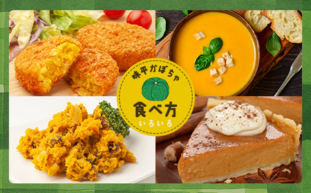 【2026年9月以降順次発送】北海道 豊浦産 かぼちゃ 味平 約20kg 10～14玉入り TYUH005